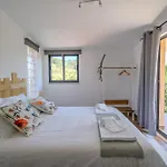 Casa Camelia - The Valley Apartman Baião