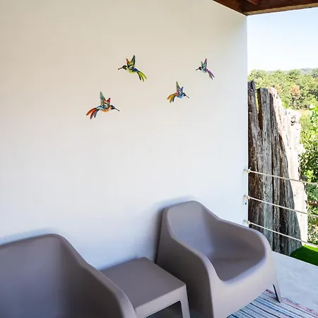 Casa Camelia - The Valley *