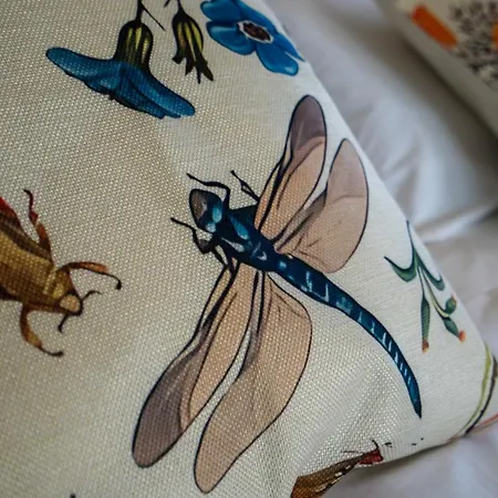 Casa Camelia - The Valley *