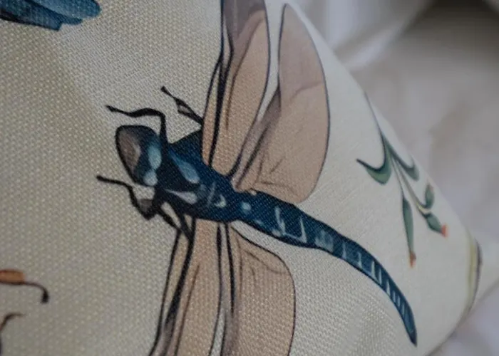 Casa Camelia - The Valley Baião