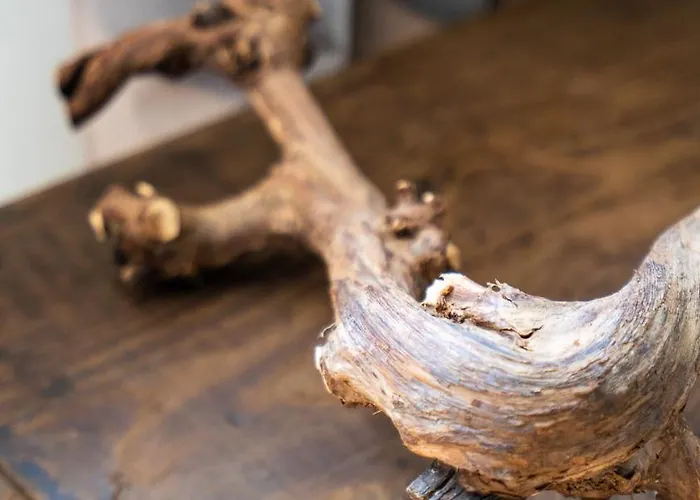 Casa Camelia - The Valley Lägenhet